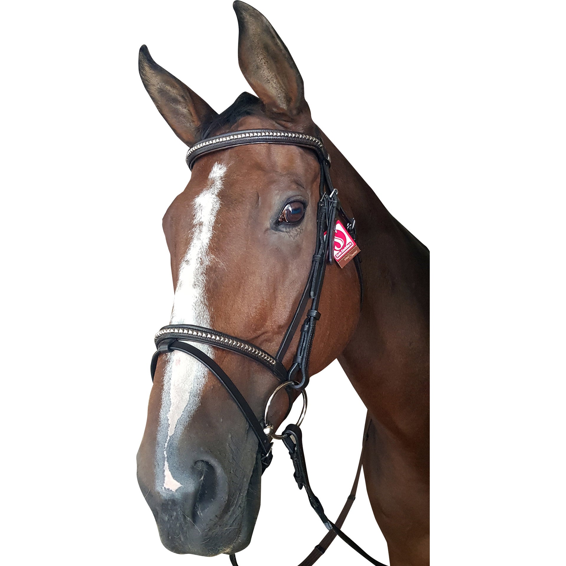 Bridle Clincher Solo Silver
